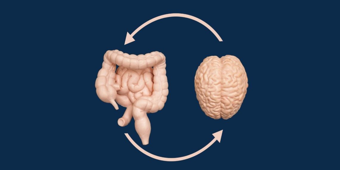 Gut-brain axis connecting digestion, stress and sleep