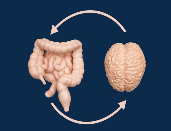 Gut-brain axis connecting digestion, stress and sleep
